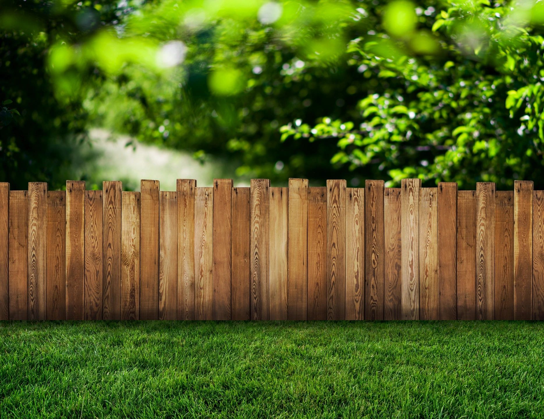 Wooden picket fence with lush yard