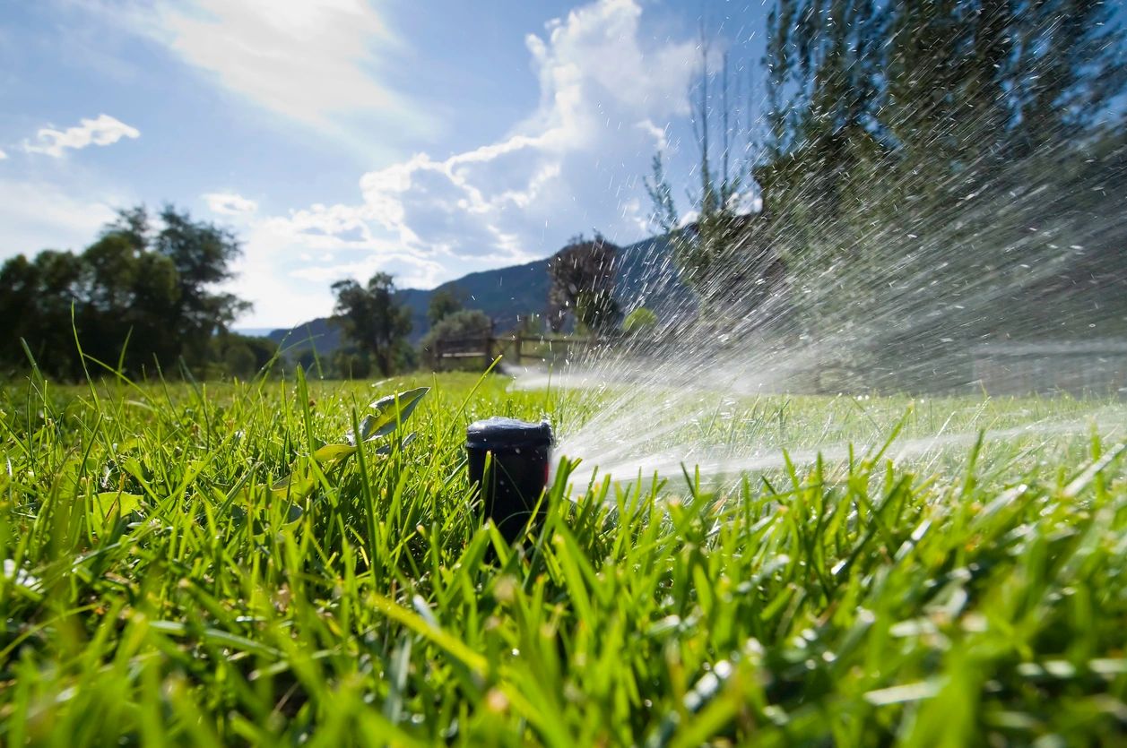 Lawn sprinkler watering green grass